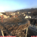 08_20-nest.jpg