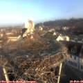 08_25-nest.jpg