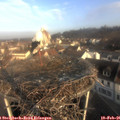08_35-nest.jpg