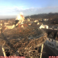 08_40-nest.jpg