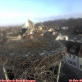 08_45-nest.jpg