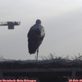 08_55-mast.jpg