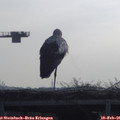 09_00-mast.jpg