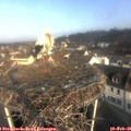 09_00-nest.jpg