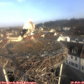 09_05-nest.jpg
