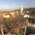 09_10-nest.jpg
