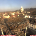 09_20-nest.jpg