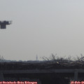 09_35-mast.jpg