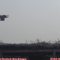 09_40-mast.jpg