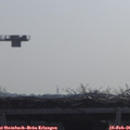 09_45-mast.jpg