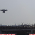 09_50-mast.jpg