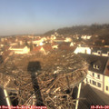 10_05-nest.jpg