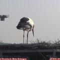 10_35-mast.jpg