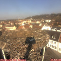 11_00-nest.jpg