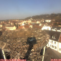 11_05-nest.jpg