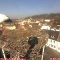 11_15-nest.jpg