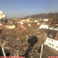 11_20-nest.jpg