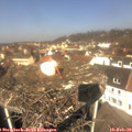 11_50-nest.jpg