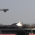 12_00-mast.jpg