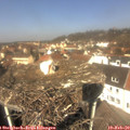 12_00-nest.jpg