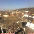 12_05-nest.jpg