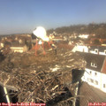 12_10-nest.jpg