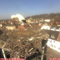 12_15-nest.jpg