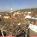 12_20-nest.jpg