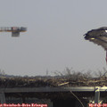 12_30-mast.jpg