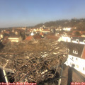 12_35-nest.jpg