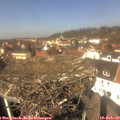 12_45-nest.jpg