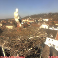 12_50-nest.jpg