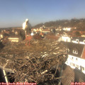 12_55-nest.jpg