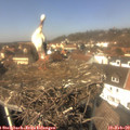 13_05-nest.jpg
