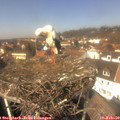 13_15-nest.jpg