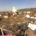 13_25-nest.jpg