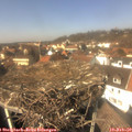 13_30-nest.jpg