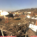 13_35-nest.jpg