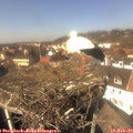 13_40-nest.jpg