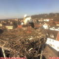 13_45-nest.jpg