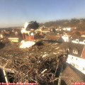 13_50-nest.jpg