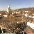 13_55-nest.jpg