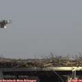 14_00-mast.jpg