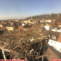 14_05-nest.jpg