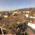 14_10-nest.jpg
