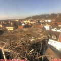 14_15-nest.jpg