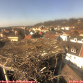 14_20-nest.jpg