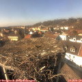 14_30-nest.jpg