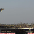 14_35-mast.jpg
