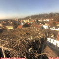 14_45-nest.jpg